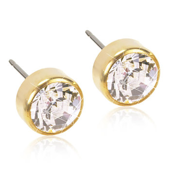 Blomdahl Skinfriendly Medical Titanium Earrings